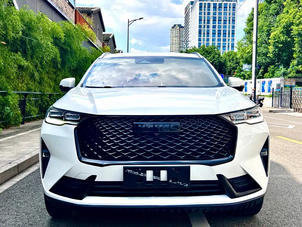 Haval H6 — миниатюра 2