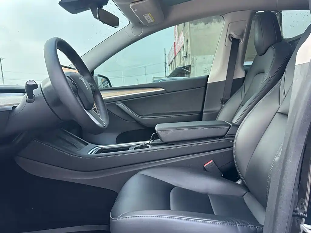 Tesla Model Y — миниатюра 4