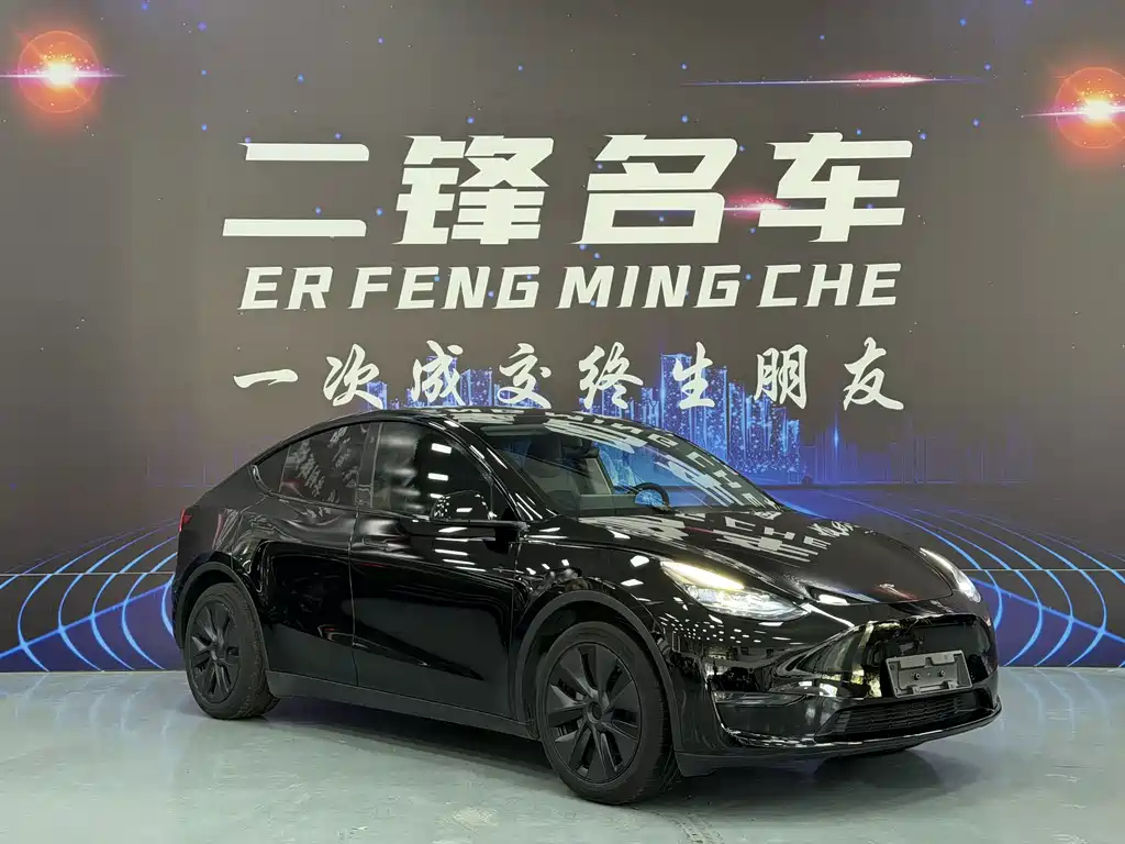 Tesla Model Y — миниатюра 3