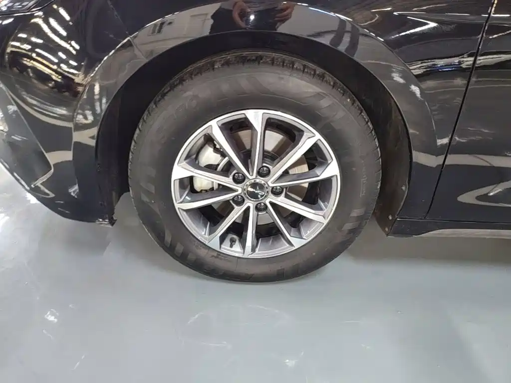 BYD Destroyer 05 — миниатюра 23