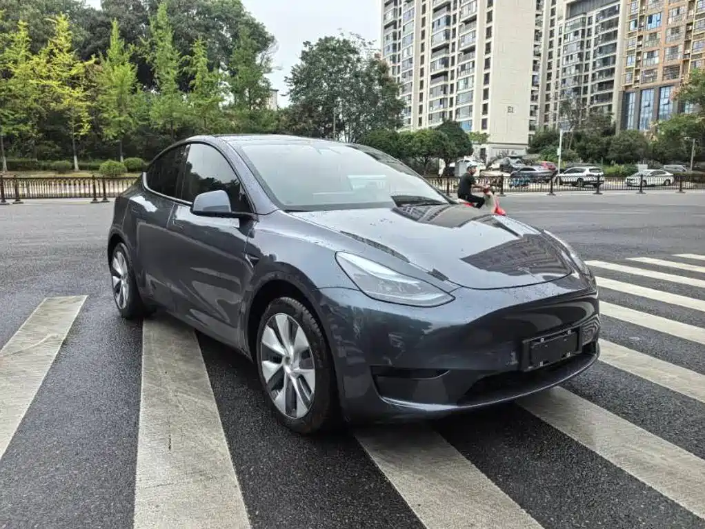 Tesla Model Y — миниатюра 2