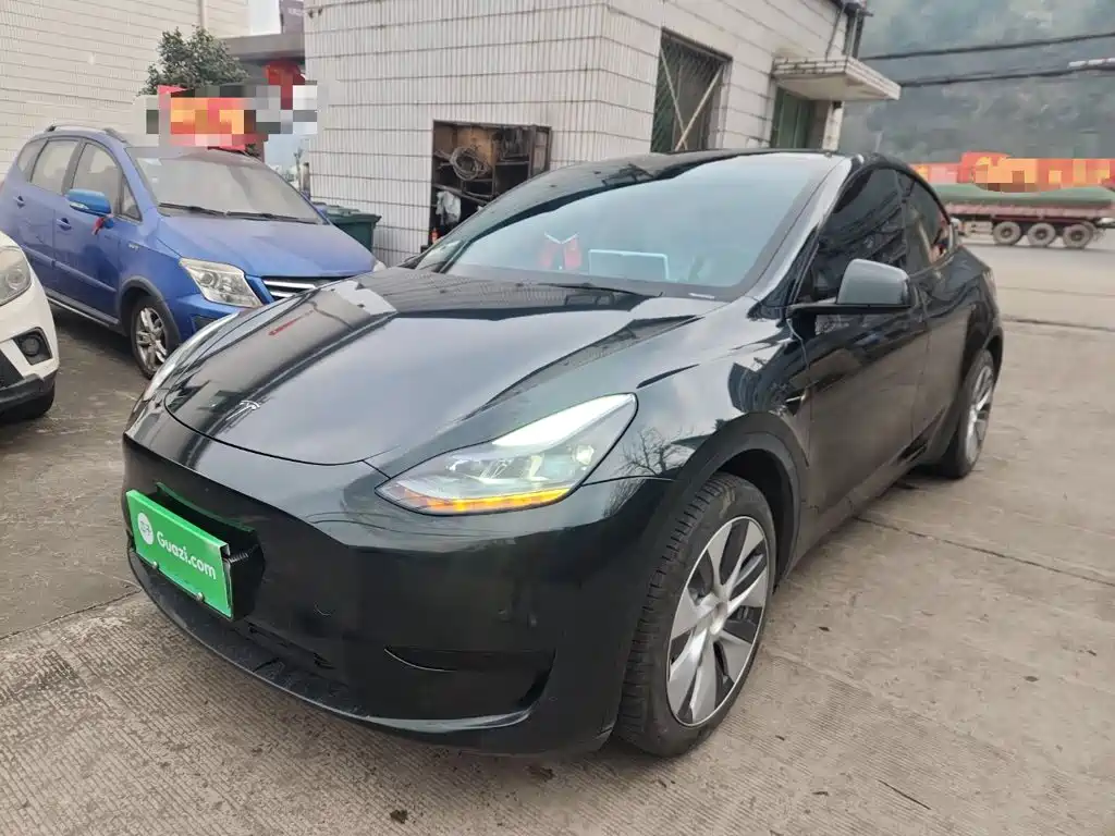 Tesla Model Y — миниатюра 2