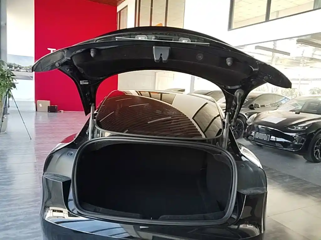 Tesla Model 3 — миниатюра 19