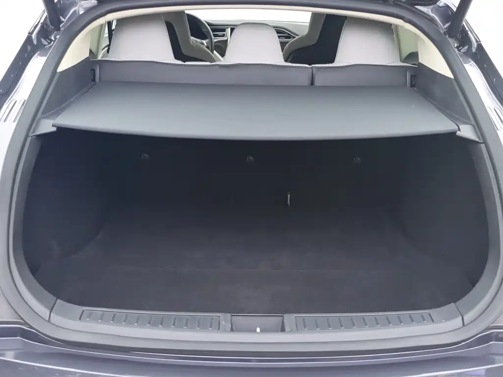 Tesla Model S — миниатюра 19