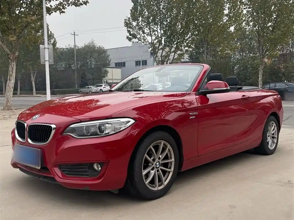 BMW 2 Series (Import) 2017