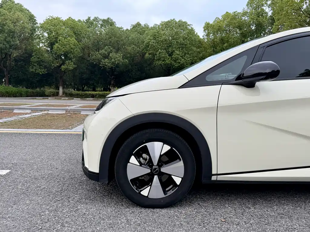 BYD Dolphin — миниатюра 15