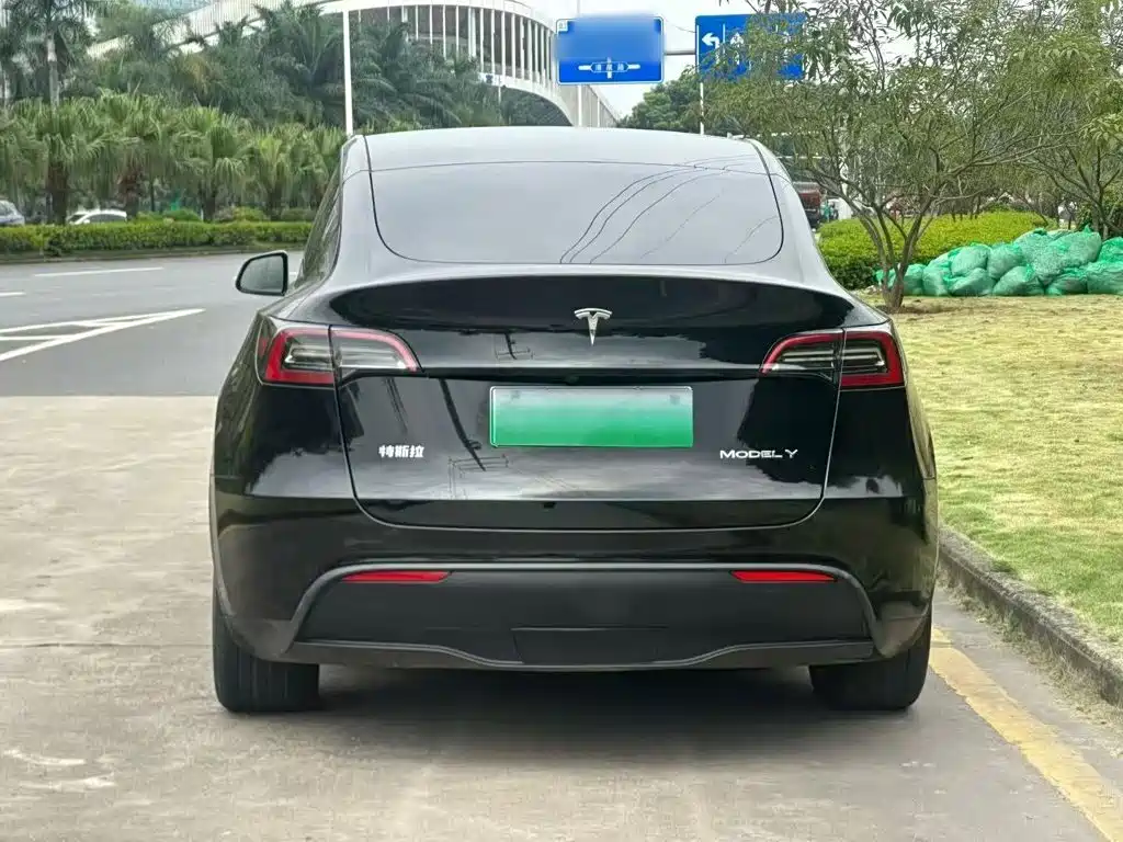 Tesla Model Y — миниатюра 6