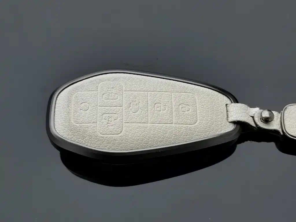 Denza Denza D9 — миниатюра 19