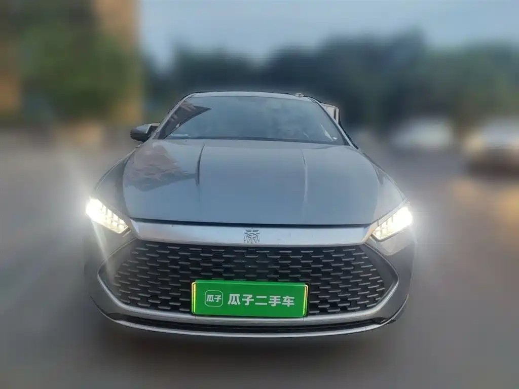 BYD Qin Plus PLUS 2024 DM-i 55KM Lead