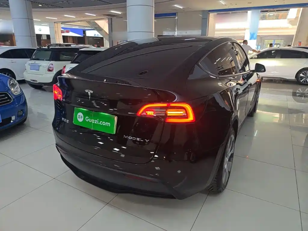 Tesla Model Y — миниатюра 7