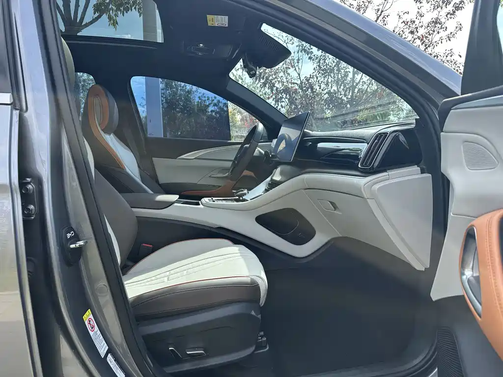 BYD Pro New Energy — миниатюра 10