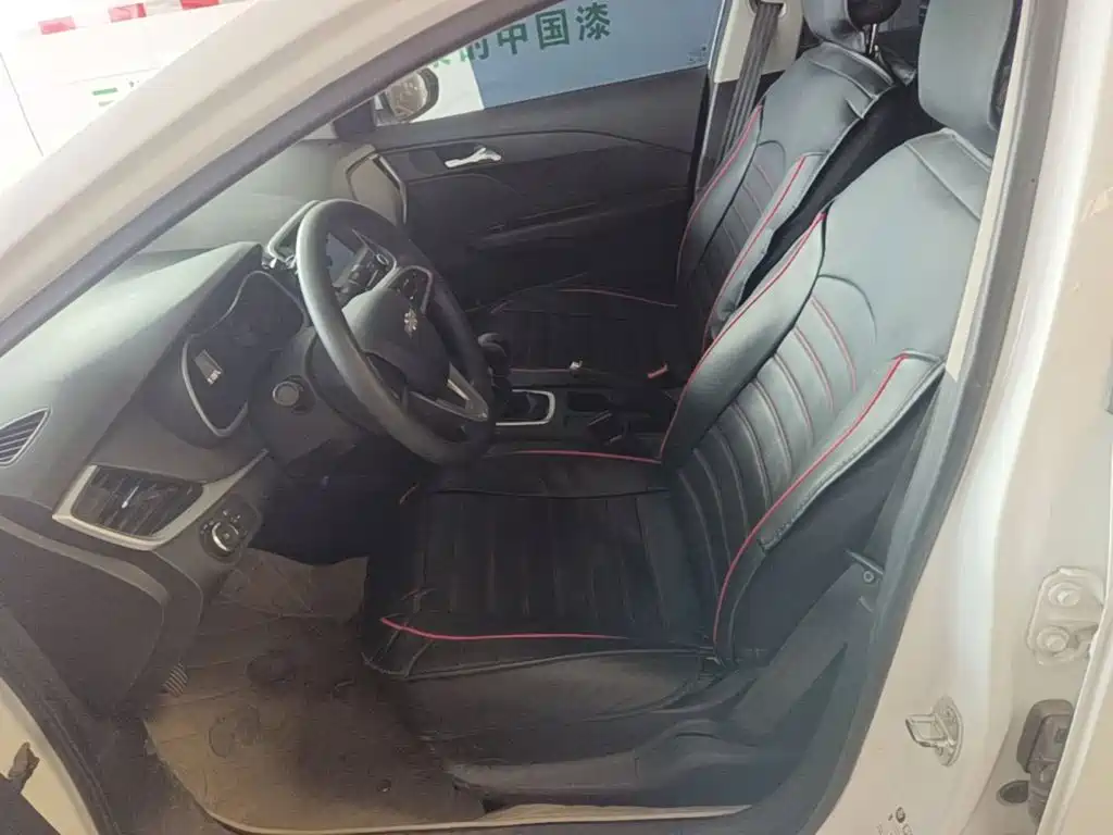 Chevrolet Cavalier — миниатюра 15