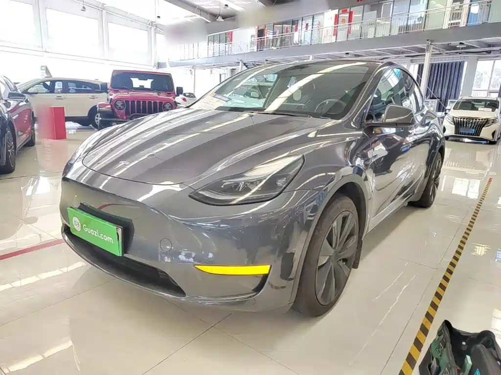 Tesla Model Y — миниатюра 2