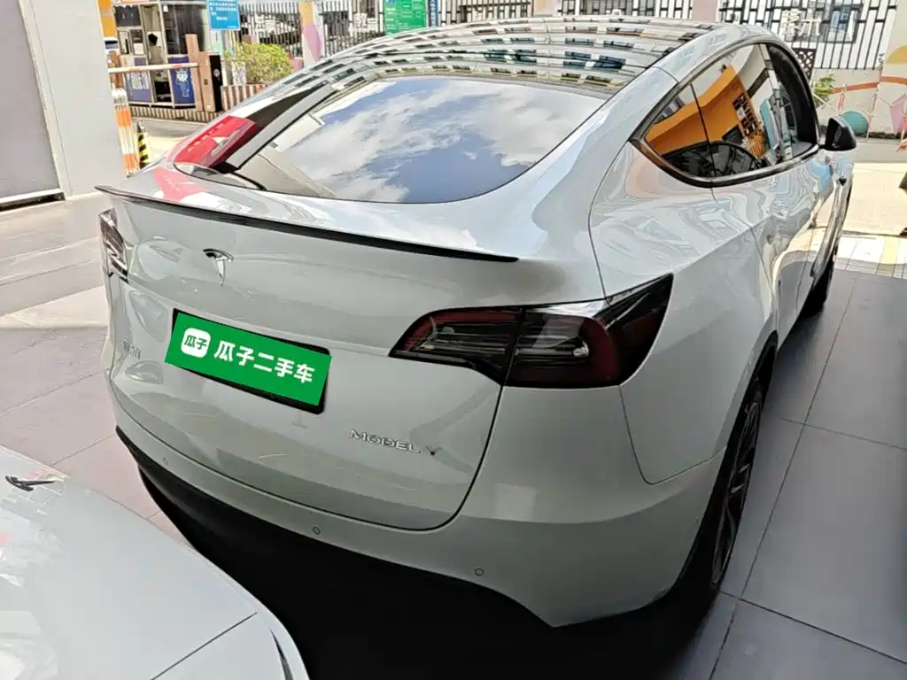 Tesla Model Y — миниатюра 6