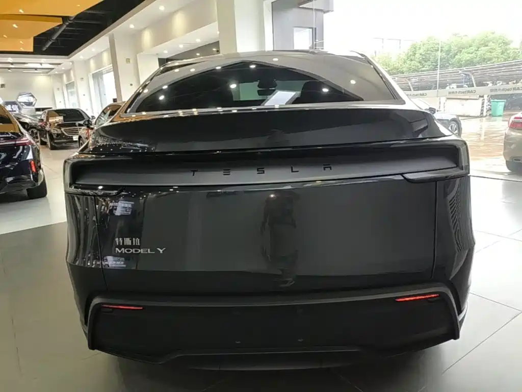 Tesla Model Y — миниатюра 6