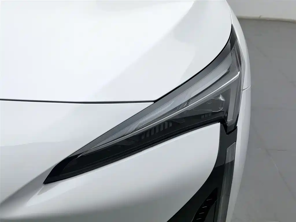 ARCFOX EXTREME FOX POLAR FOX ALPHA S5