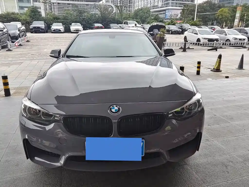 BMW 4 Series — миниатюра 2