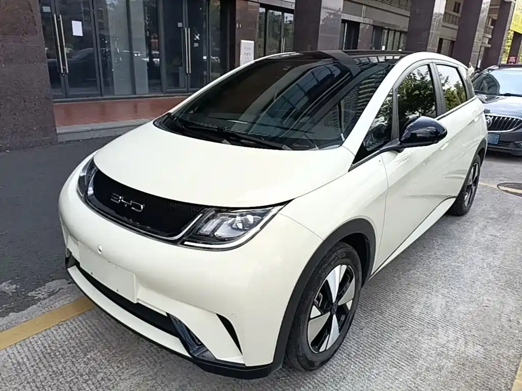 BYD Dolphin