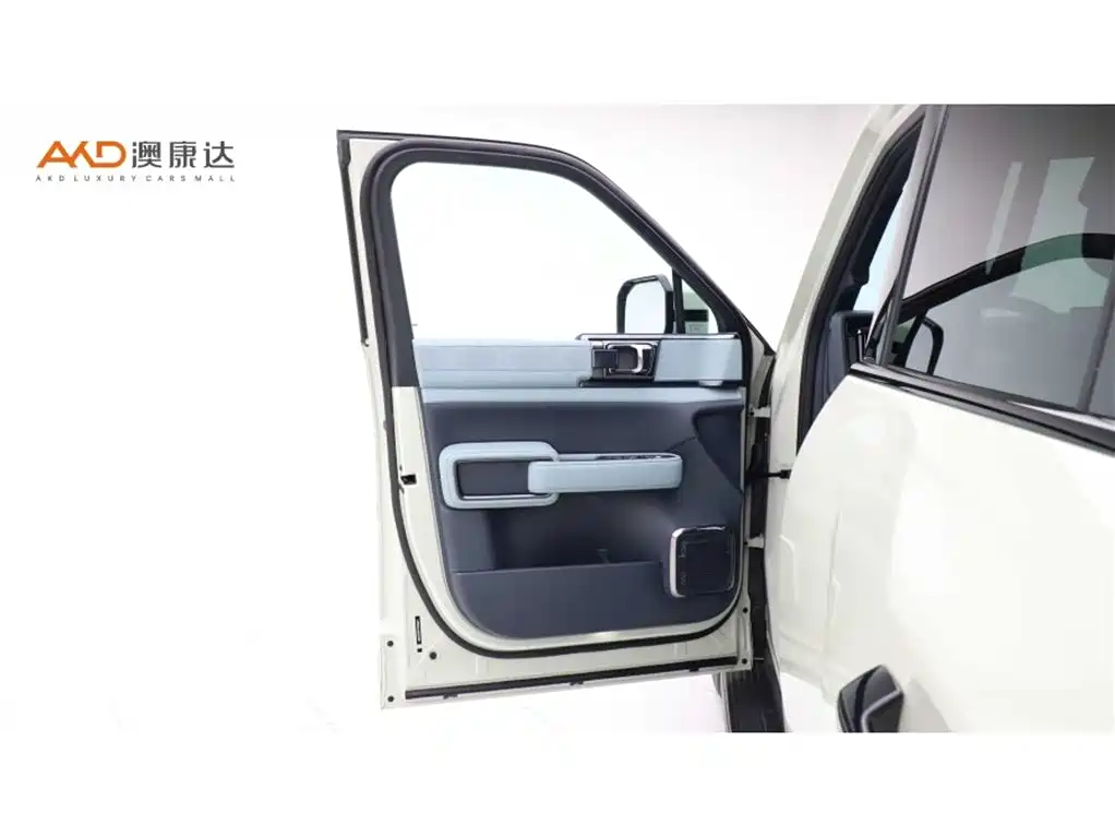 FANG CHENG BAO LEOPARD 5