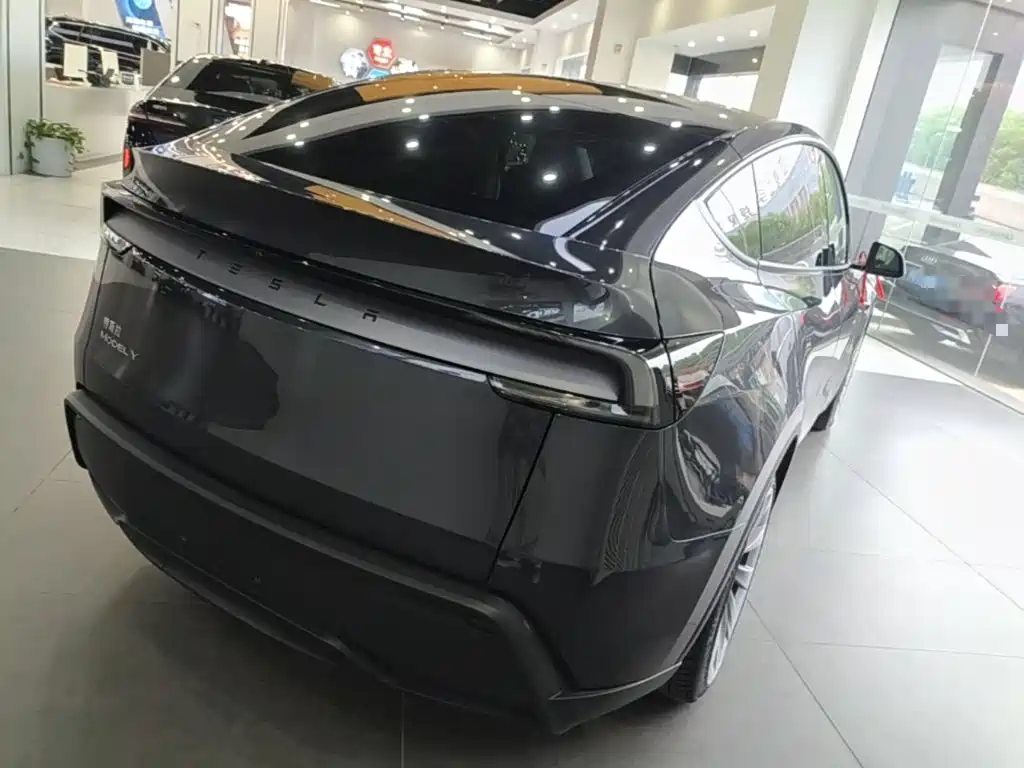 Tesla Model Y — миниатюра 7