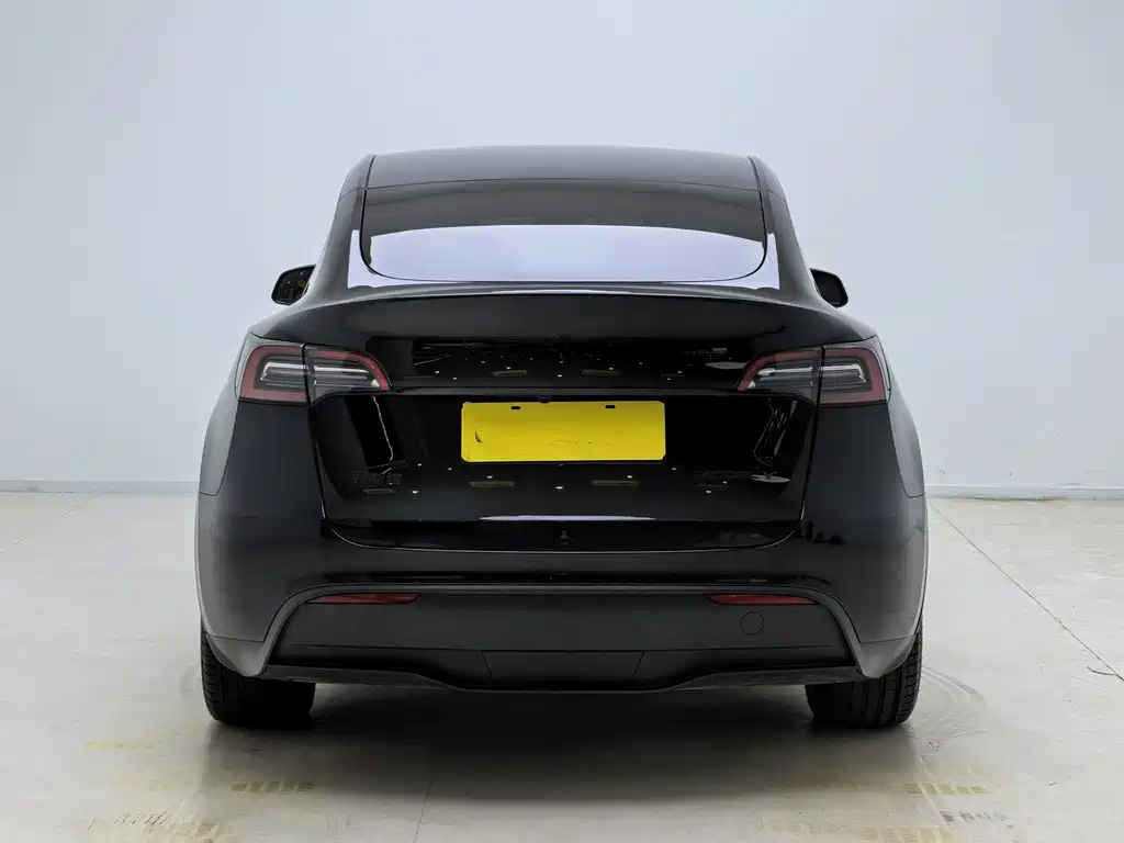 Tesla Model Y — миниатюра 10