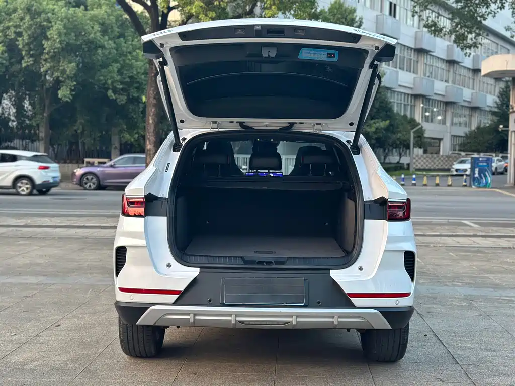 BYD PLUS — миниатюра 21