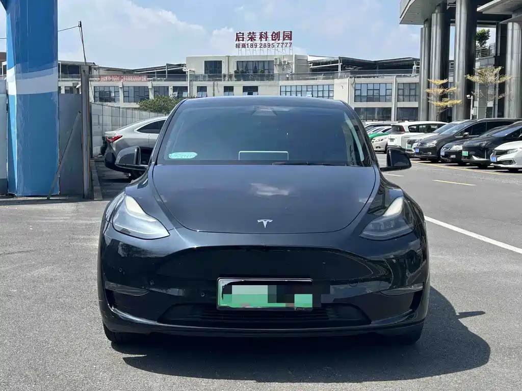 Tesla Model Y — миниатюра 2