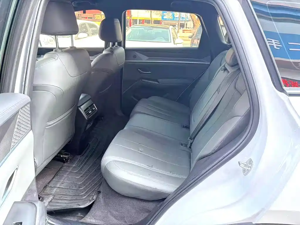 BYD SONGJIANG NEW ENERGY