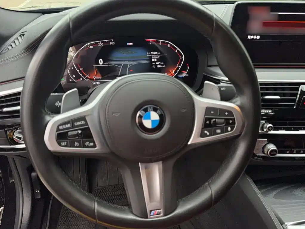 BMW 5 Series 5 2022 530Li xDrive M Sport