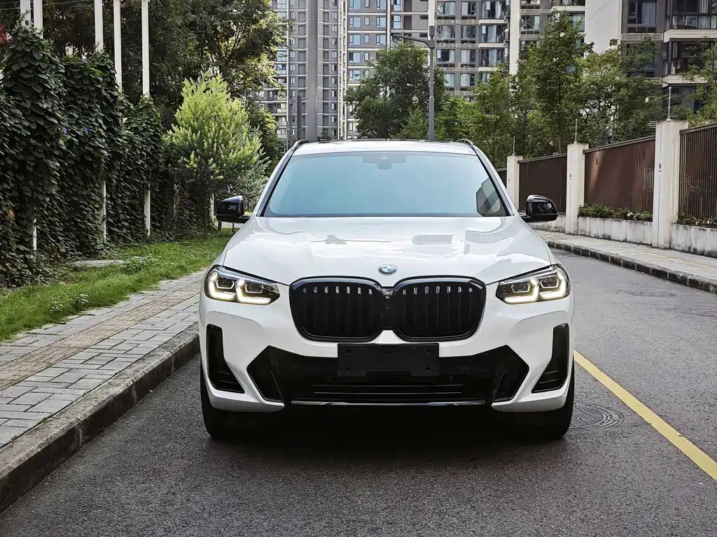 BMW X3 — миниатюра 2
