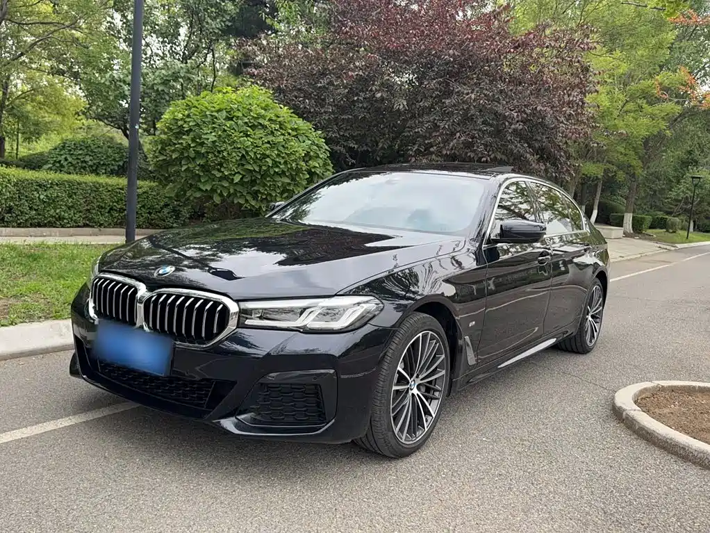 BMW 5 Series 5 2022 530Li xDrive M Sport