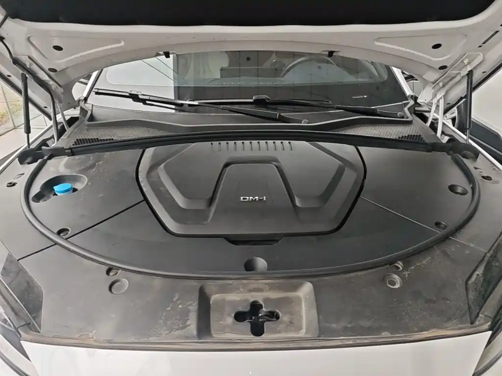 BYD PLUS New Energy — миниатюра 20