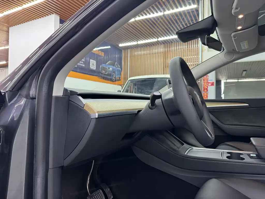 Tesla Model Y — миниатюра 6
