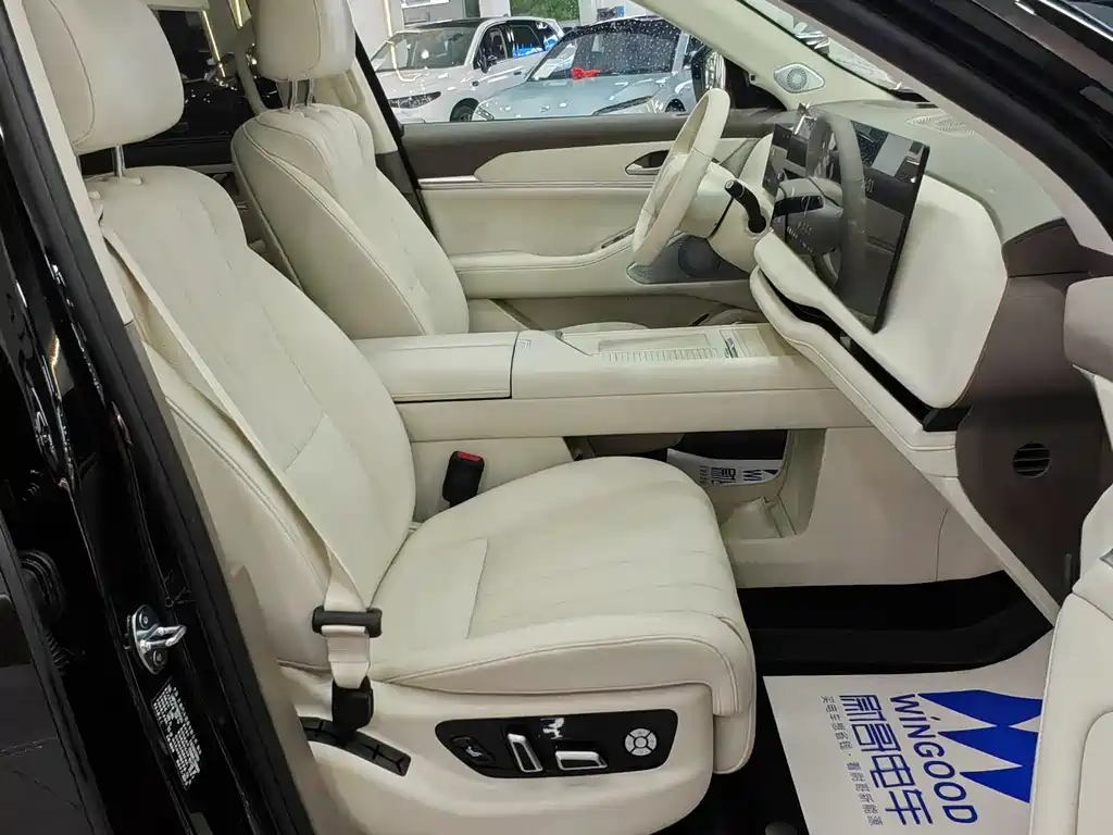 WEI PAI WEI BRAND BLUE MOUNTAIN