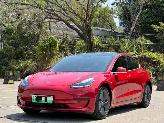 TESLA MODEL 3 2020