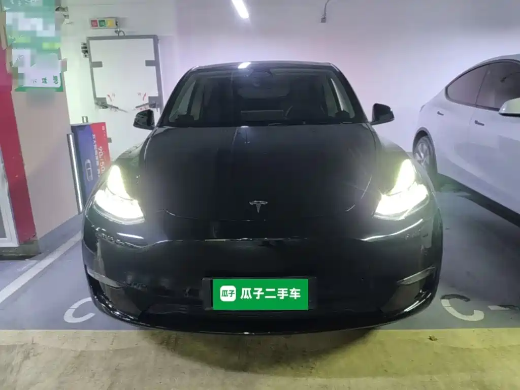 Tesla Model Y — миниатюра 3