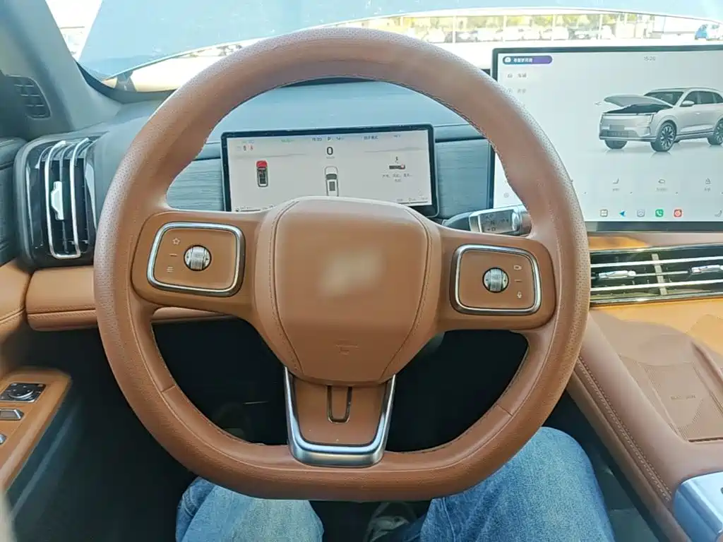 Shanhai L7 PLUS 220km Flagship Edition 7 seats, фото 11