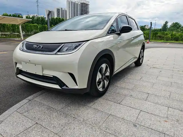 2025 BYD Dolphin