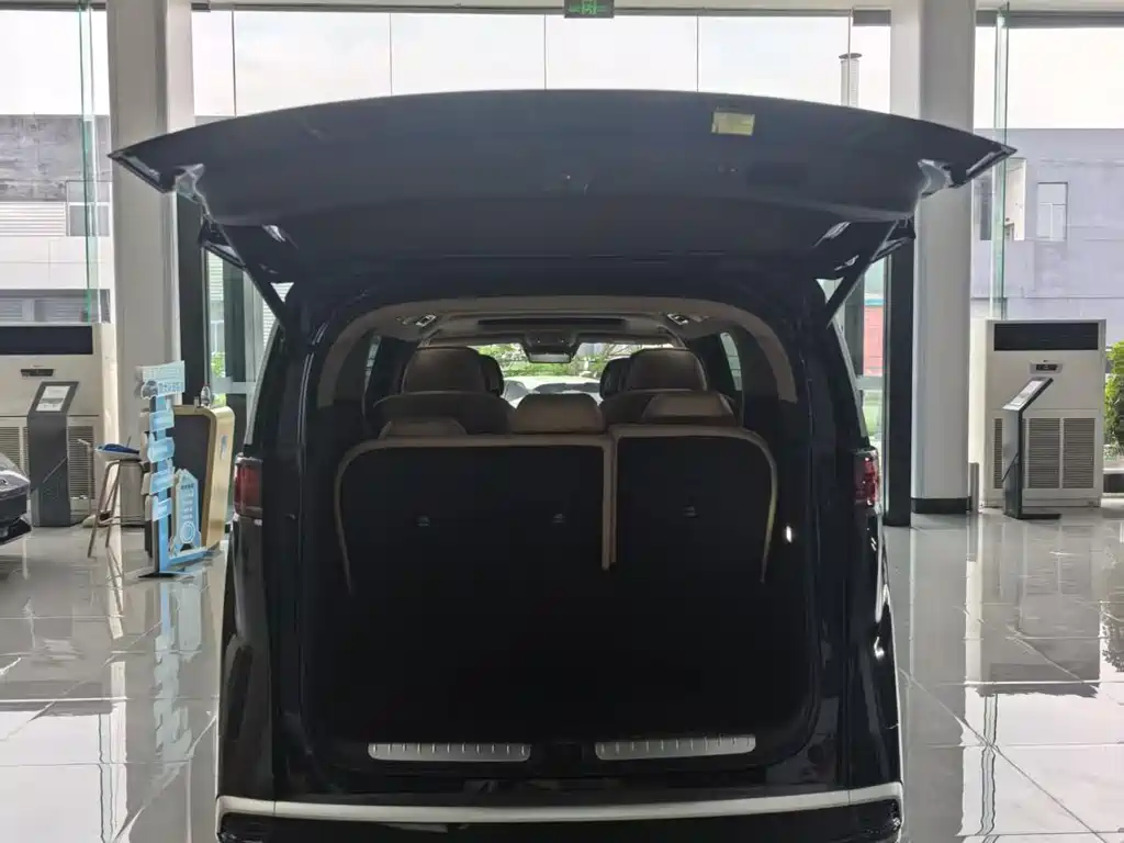 Denza D9 2025 DM-i Smart Drive 1020 Flagship