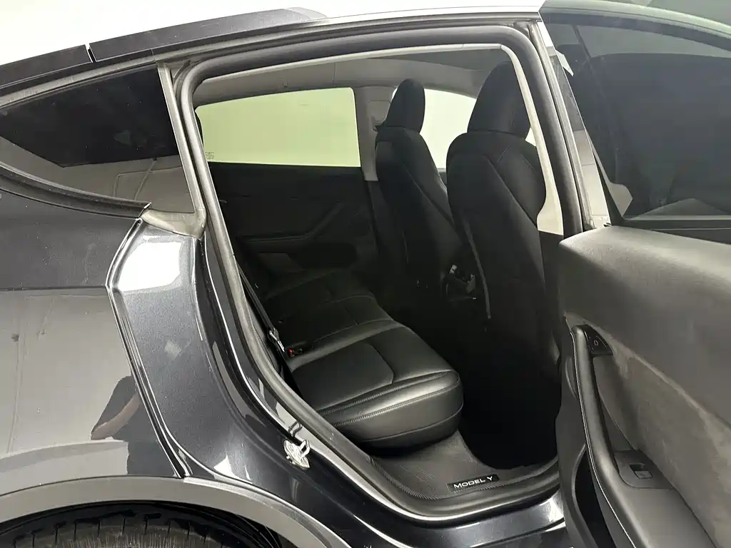 Tesla Model Y — миниатюра 11
