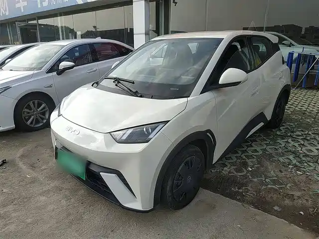 BYD SEAGULL 2024