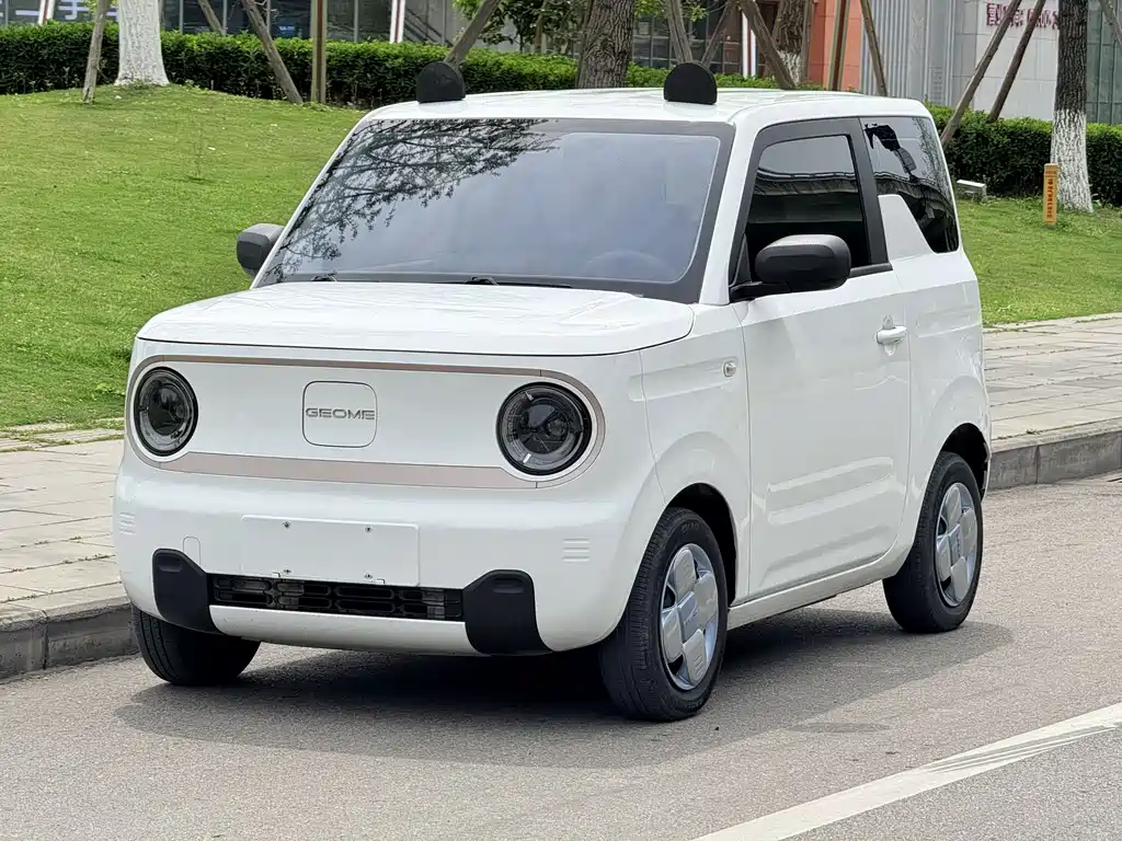Galaxy Panda 2023