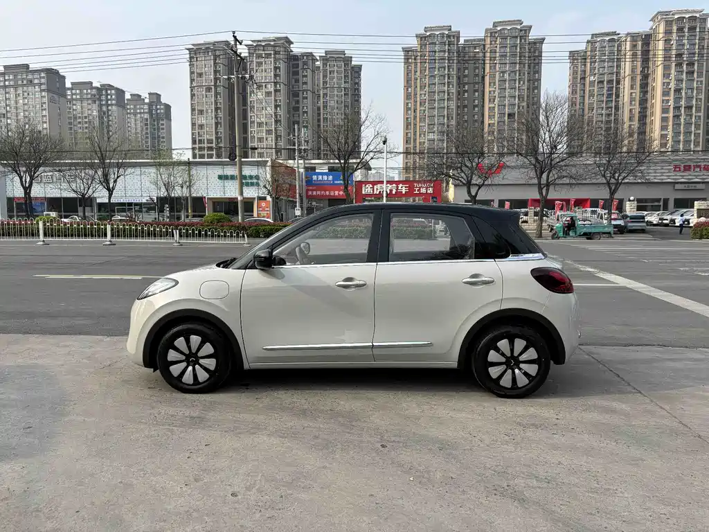 Wuling Binguo 2025 333km Enjoy