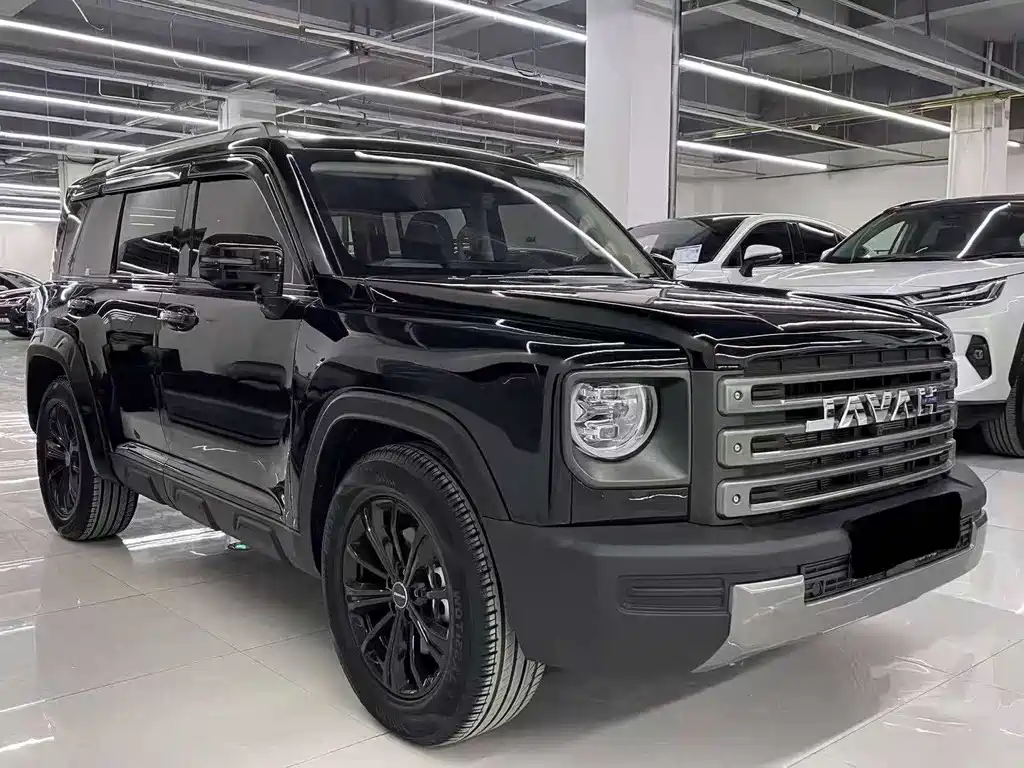 Haval Menglong New Energy — миниатюра 3