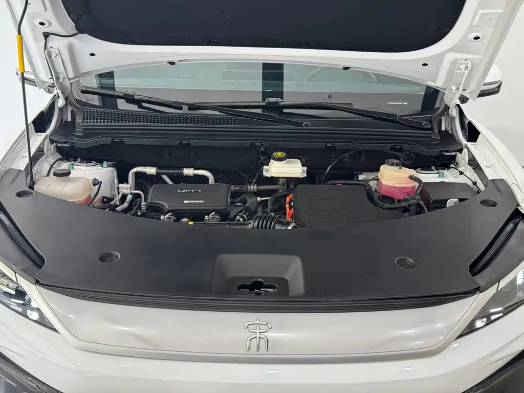 BYD Pro New Energy — миниатюра 4