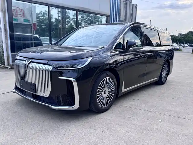 2024 Voyah Dream