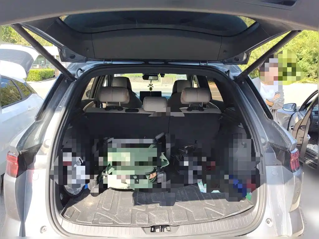 BYD Pro New Energy — миниатюра 10