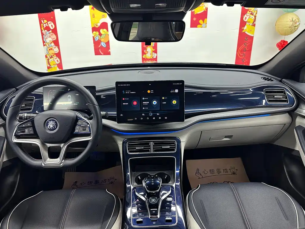 BYD Qin PLUS — миниатюра 10