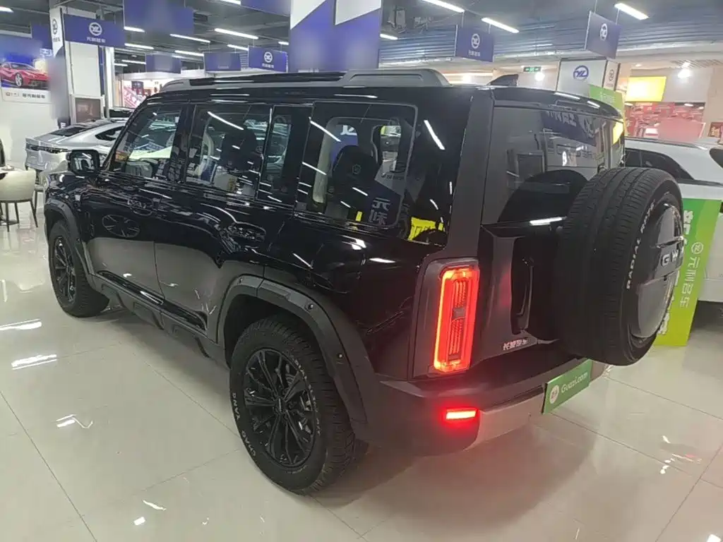 Haval Menglong New Energy — миниатюра 5