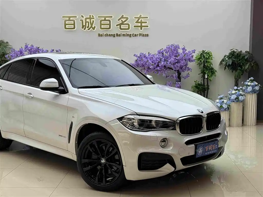 BMW X6 2019 xDrive35i M Sport